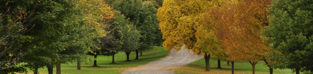 Trail Run at Mendon Ponds Park in Fall