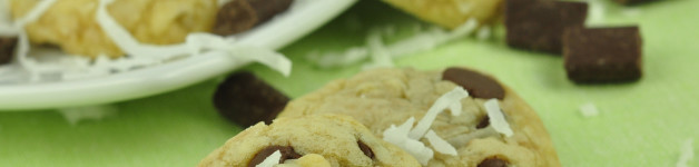 Mini Coconut Chocolate Chip Cookies