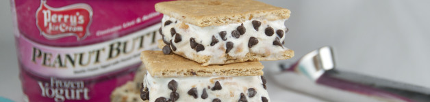 Frozen S'mores made with Perry's Peanut Butter Chip Frozen Yogurt