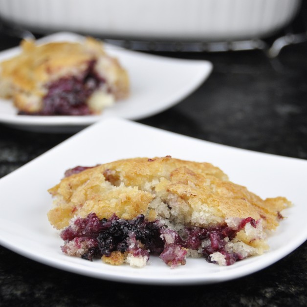 Blackberry Cobbler Recipe from Pioneer Woman's recipe. Easy and delicious!