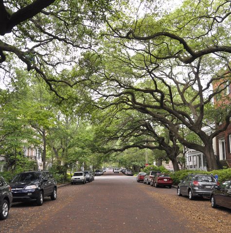 Walking along Jones Street, Savannah Georgia