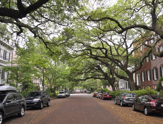 Walking along Jones Street, Savannah Georgia