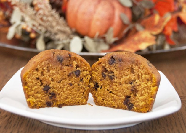 Pumpkin Chocolate Chip Muffins Recipe. Great for fall, Halloween, of Thanksgiving/Christmas breakfast!