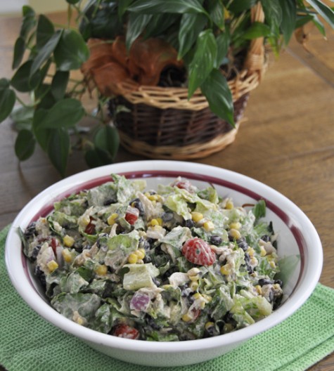 Chipotle Chicken Taco Salad is a delicious and healthy Mexican food dish made with avocado and Greek yogurt.