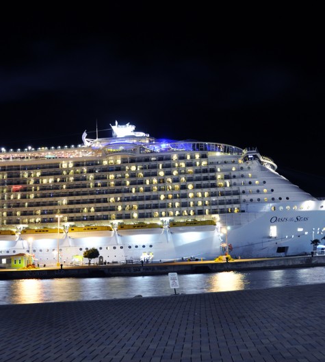 Oasis of the Seas all lit up at night while at port.