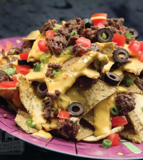 This recipe for Cheesy Loaded Beefy Nachos is an easy last-minute appetizer to throw together for your game day parties! These simple nachos will disappear in no time at all!