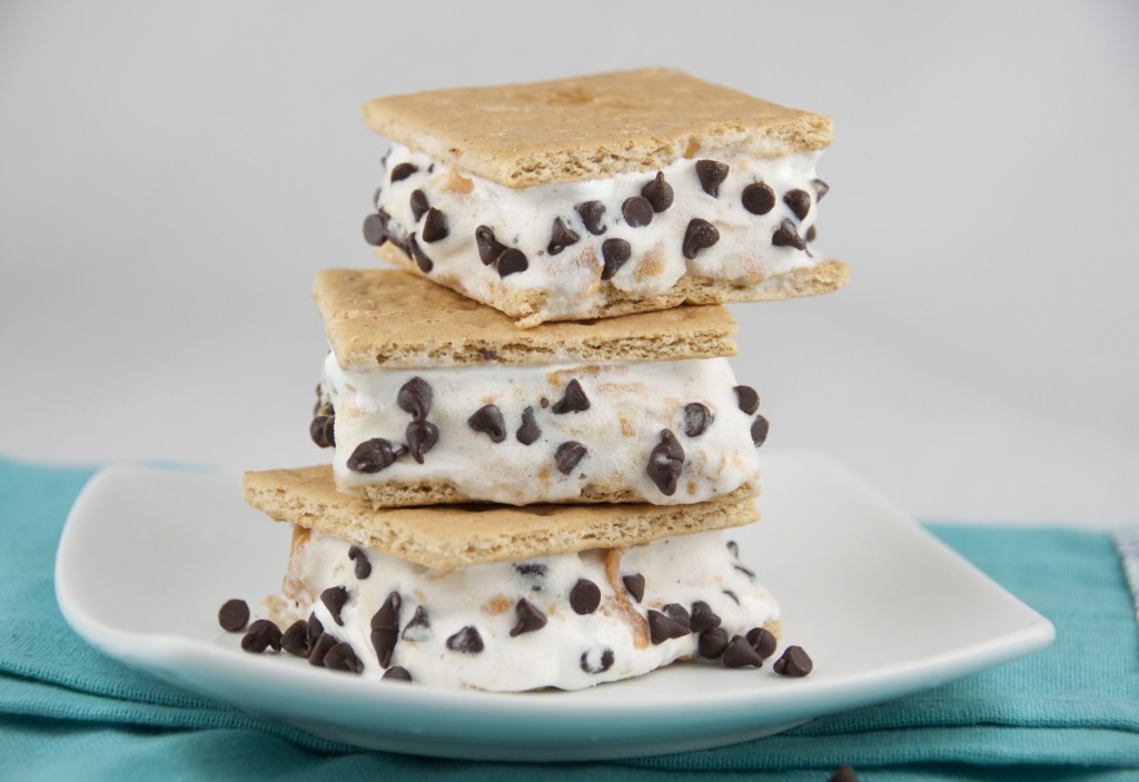 Frozen S'mores is a delicious spin on the classic s'mores recipe. Enjoy tasty layers of chocolate and marshmallows in this frozen treat sure to be loved by all!