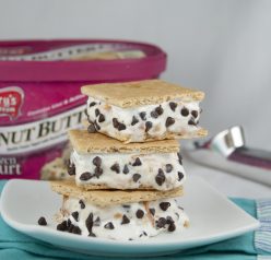 Frozen S'mores made with Perry's Peanut Butter Chip Frozen Yogurt