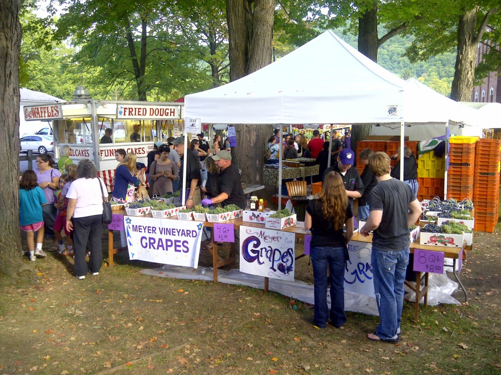 grape festival