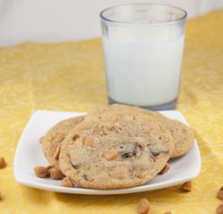 One Bowl Butterscotch Chocolate Chunk Cookies. Easy and made in one bowl!