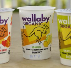 Wallaby Organic Yogurt Review and Giveaway