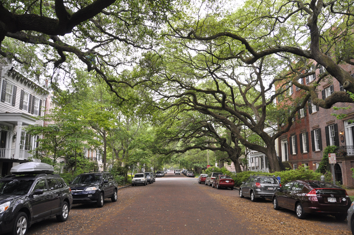 Jones-Street-Savannah-Georgia.jpg