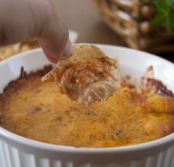 Caramelized Onion BBQ Chicken Dip. Perfect for football parties or any time you need to make an appetizer!