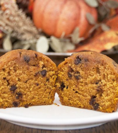 Pumpkin Chocolate Chip Muffins Recipe. Great for fall, Halloween, of Thanksgiving/Christmas breakfast!