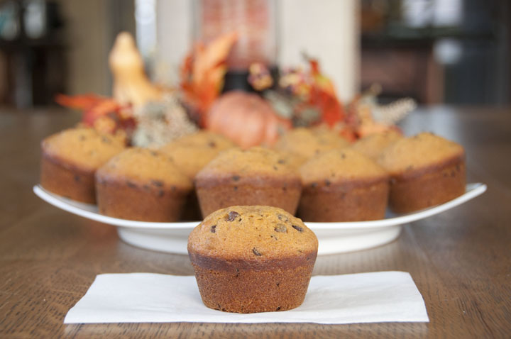 Pumpkin Chocolate Chip Muffins Recipe. Great for fall, Halloween, of Thanksgiving/Christmas breakfast!