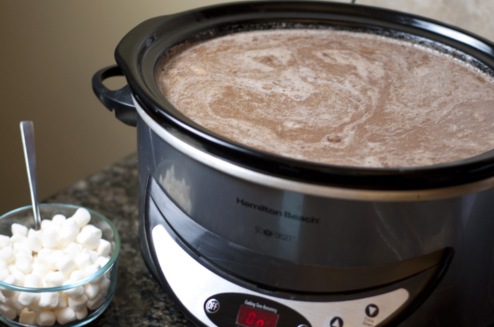 Creamy Crock Pot Hot Chocolate {Wishes & Dishes}