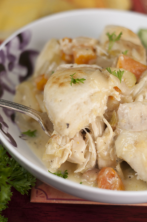 Crock Pot Chicken and Dumplings | Wishes and Dishes