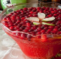Festive Holiday Red Cranberry Punch recipe is a delicious fruity punch to serve at any party. The frozen cranberries and deep, rich red color make it perfect for Christmas!