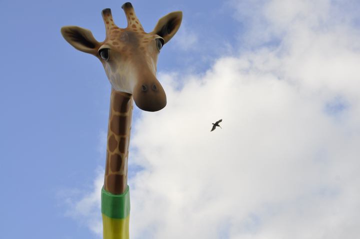 Giraffe on Royal Caribbean Anthem of the Seas cruise ship.