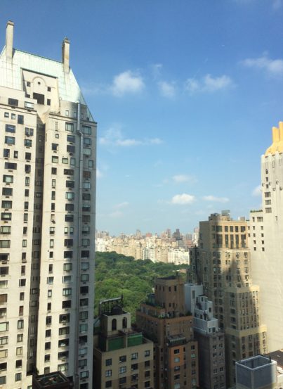 View of Central Park from the Park Hyatt New York in Times Square.