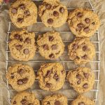 Soft Batch Chocolate Chip Pumpkin Cookies are where perfectly spiced pumpkin pie meets chocolate chip cookies and you will love the result! This is a great fall dessert recipe idea to whip up when you're in a hurry!