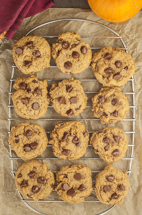 Soft Batch Chocolate Chip Pumpkin Cookies are where perfectly spiced pumpkin pie meets chocolate chip cookies and you will love the result! This is a great fall dessert recipe idea to whip up when you're in a hurry!