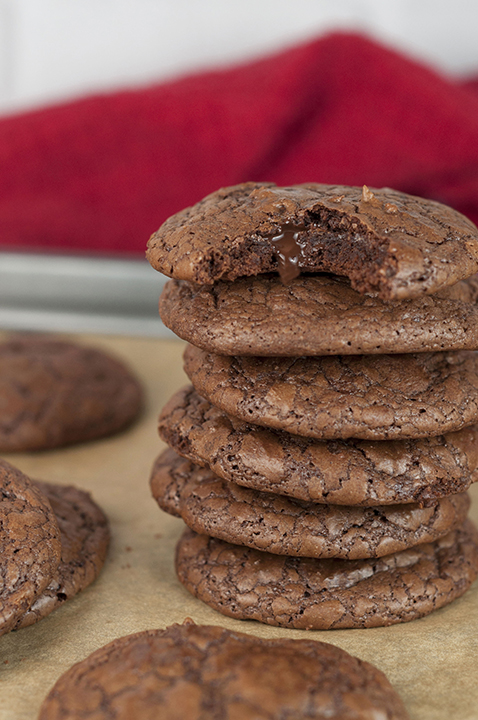 This recipe for Double Chocolate Truffle Cookies is for serious chocolate dessert lovers! Dense, gooey, fudge-like cookies with chocolate chips baked right into them.