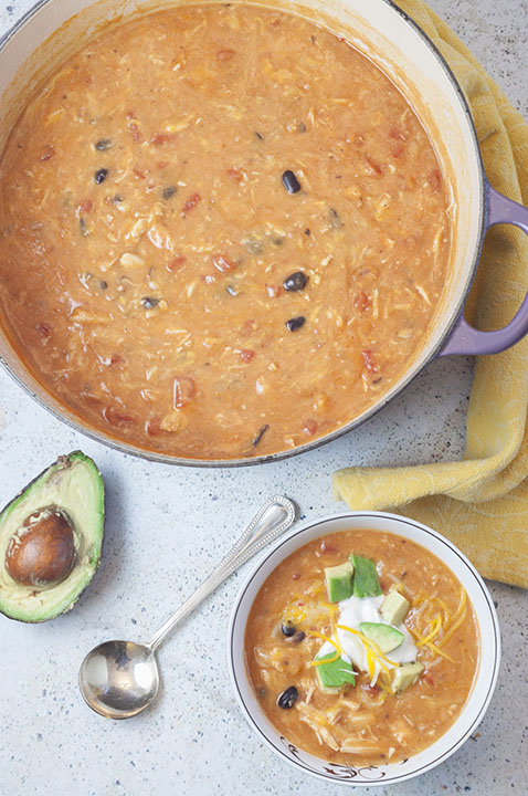 20 Minute Cheesy Chicken Enchilada Soup | Wishes and Dishes