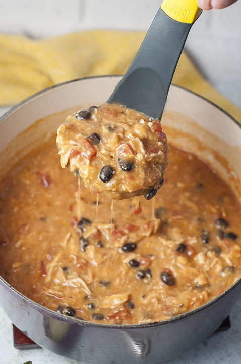 Easy Chicken Enchilada Soup - Girl Gone Gourmet