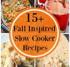 15+ Fall Inspired Recipes - round out your fall holidays and celebrations with these festive main course, side dish, appetizer, drink, and dessert recipes!
