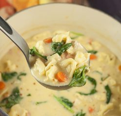 Comforting Chicken Alfredo Tortellini Soup where the flavors blend together so well everyone will be begging for seconds! The Parmesan Alfredo sauce is the special ingredient that makes this hearty soup rich and creamy.