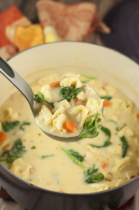 Comforting Chicken Alfredo Tortellini Soup recipe where the flavors blend together so well everyone will be begging for seconds! The Parmesan Alfredo sauce is the special ingredient that makes this soup rich and creamy.