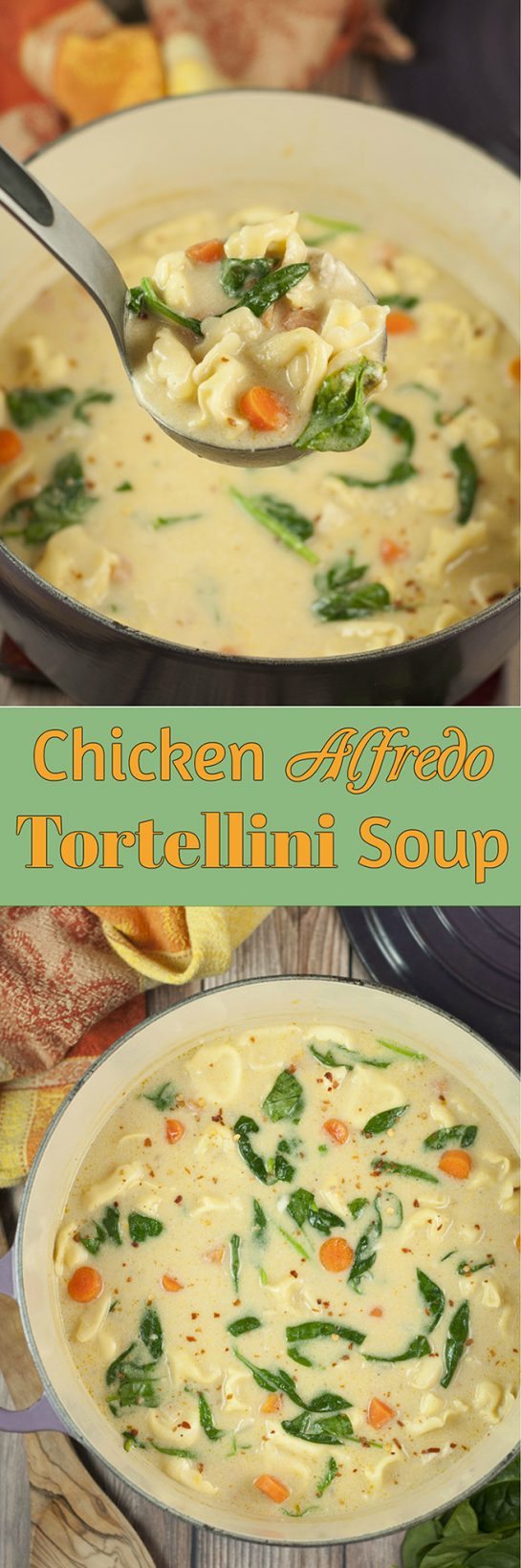 Chicken Alfredo Tortellini Soup Wishes and Dishes