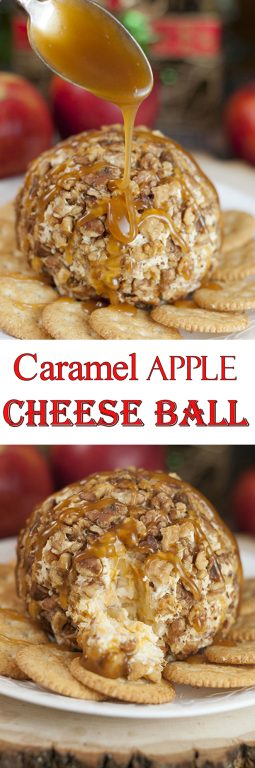 Quick & easy Caramel Apple Cheese Ball recipe works for a holiday appetizer idea, snack OR holiday dessert! This sweet and salty treat would be perfect for a potluck or party. 