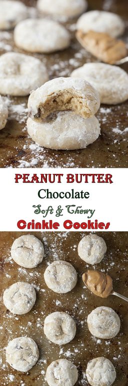 Peanut Butter Chocolate Soft & Chewy Crinkle Cookies recipe loaded with peanut butter and mini chocolate chips are your new favorite holiday Christmas cookie to add to your dessert trays!