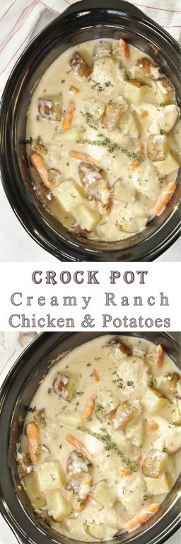 Extremely easy recipe for Slow Cooker or Crock Pot Creamy Ranch Chicken and Potatoes is the best comfort food meal, easy enough to cook for dinner guests, and will leave your house smelling heavenly!
