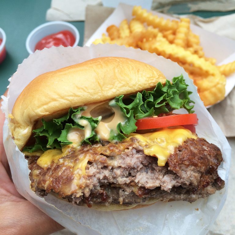 Shake Shack Burger and fries in Madison Square Park, New York City. If you're ever wondering Where to Eat and What to do in New York City when you're traveling, you've come to the right place. I'll tell you all my favorite restaurants in NYC and the best things to do with your family while in the city.