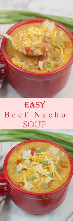 Your favorite nacho flavors and toppings turned into an easy soup recipe loaded with beef and cheese. This Easy Beef Nacho Soup is great for a quick lunch or dinner and the whole family will love it!