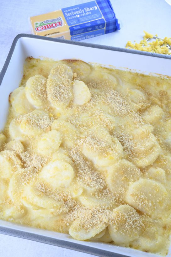 Easy Cheddar Parmesan Scalloped Potatoes makes a great cheesy Thanksgiving or Christmas side dish. If you're looking for a potluck side dish idea for the holidays, this is a winner!