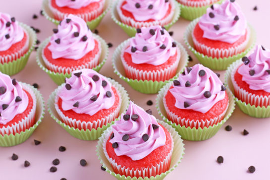Close-up finished shot of the decorated watermelon cupcakes with mini chocolate chips on top