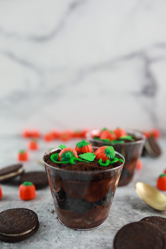 Pumpkin Patch Dirt Cups are such an adorable, kid-friendly recipe for fall, Thanksgiving and Halloween!