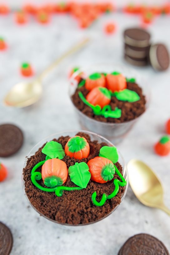 Pumpkin Patch Dirt Cups are such a cute, kid-friendly recipe for fall, Thanksgiving and Halloween!