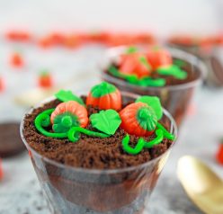 Cute little Pumpkin Patch Dirt Cups are such an adorable, kid-friendly recipe for fall, Thanksgiving and Halloween!