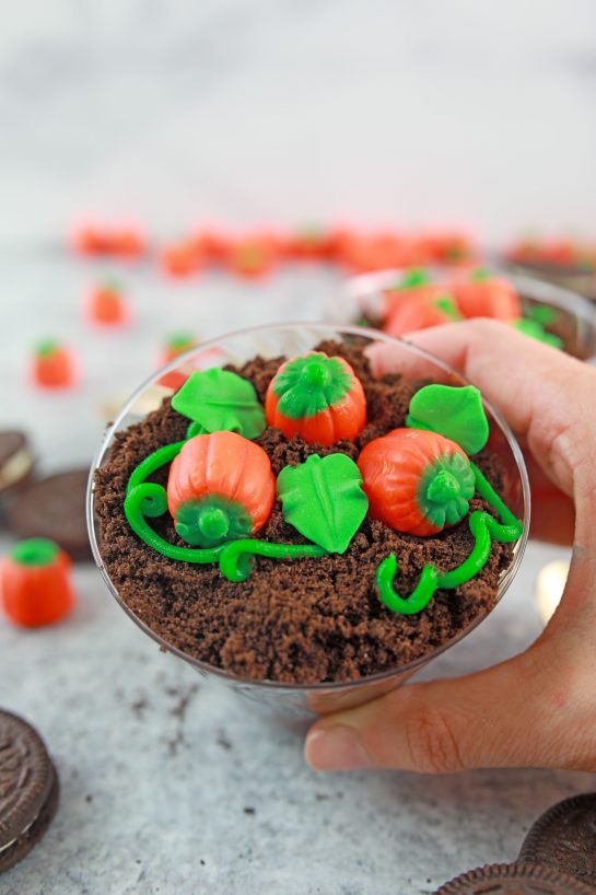Close-up of the Pumpkin Patch Dirt Cups are such an adorable, kid-friendly recipe for fall, Thanksgiving and Halloween!