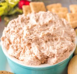 Easy Cinnamon Roll Dip is a decadent, crazy simple dessert recipe for any holiday or a sweet breakfast idea! It only takes about 15 minutes from start to finish!