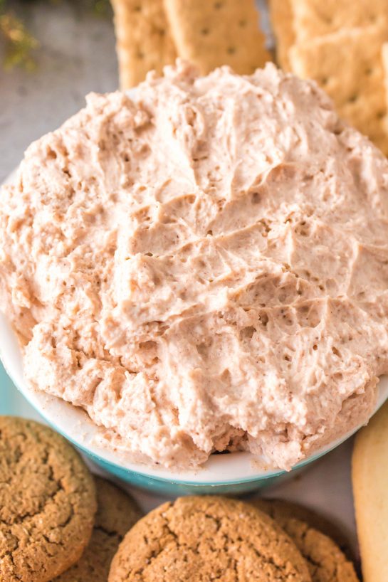 Close-up photo of Cinnamon Roll Dip recipe