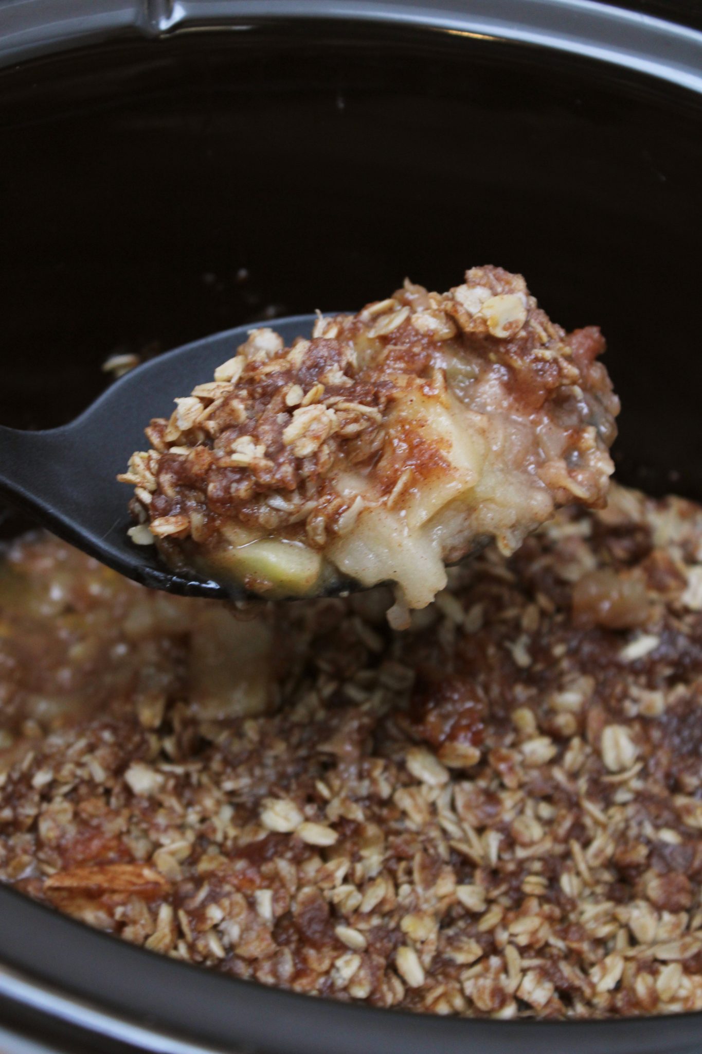 Crock Pot Apple Crisp Wishes and Dishes
