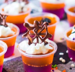 This recipe for Halloween Jello Shots are a colorful, fun Halloween party ideas. Learn how to make these cute Halloween shots because they will be a cocktail party favorite.