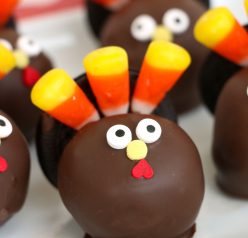 Turkey Cake Pops are so fun to make and festive for fall! The entire family will enjoy these turkey pops for Thanksgiving.
