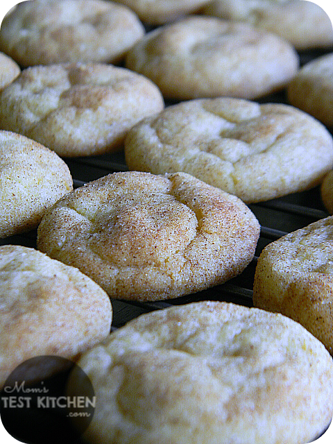 Vanilla Pudding Snickerdoodles recipe. Snickerdoodles couldn’t be tastier than they are with this vanilla pudding cookie recipe.